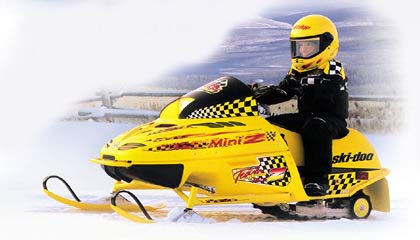 Mini Z